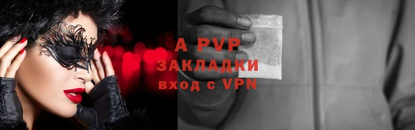 шишки Покачи