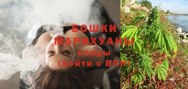 СК Ельня