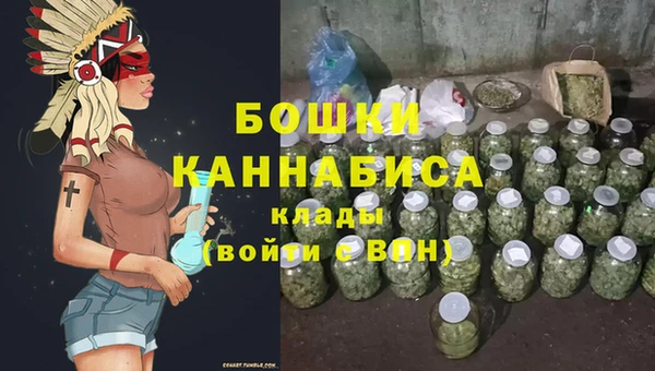 шишки Покровск