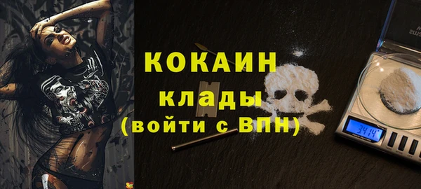 мдпв Елизово