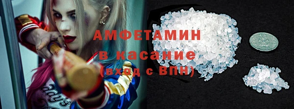 шишки Покачи