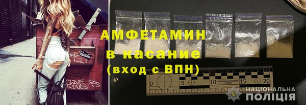 шишки Покачи