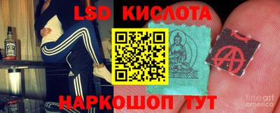 амф Дубна