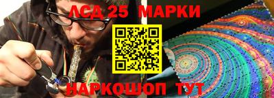 амф Дубна