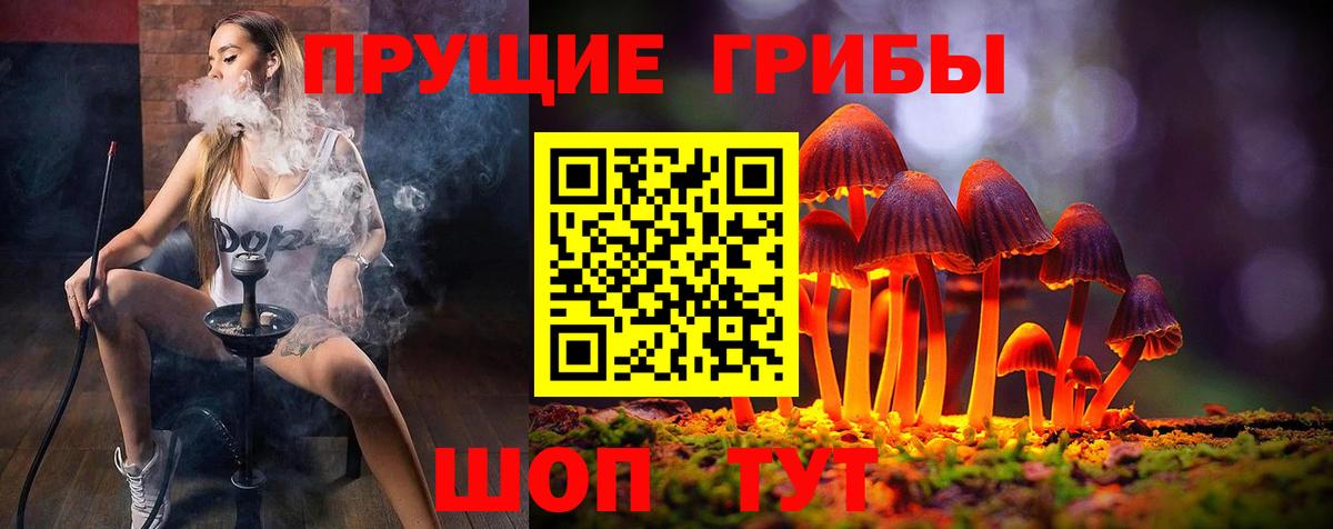 Галлюциногенные грибы Cubensis  Вход с VPN  Галлюциногенные грибы прущие грибы  Новоалтайск 